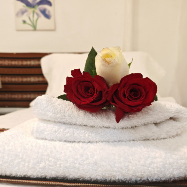 Servicios Hotel Afma Cusco